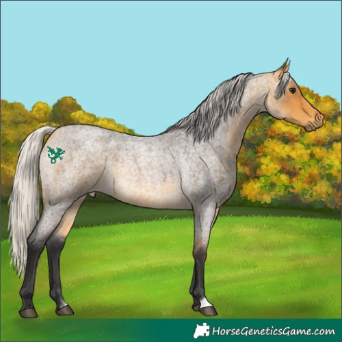 Horse Color:Silver Buckskin Roan 