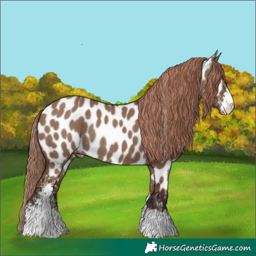 Horse Color:Liver Red Dun Sabino Near Leopard Rabicano