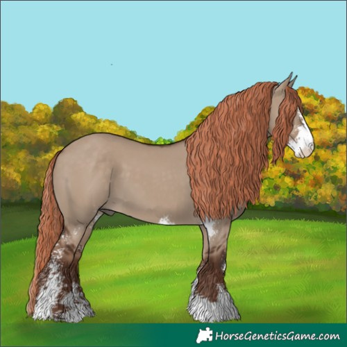 Horse Color:Liver Red Dun Sabino