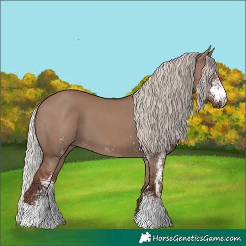 Horse Color:Silver Grullo Sabino 