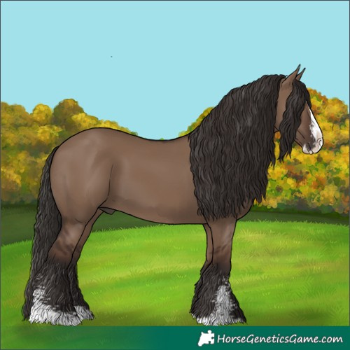 Horse Color:Liver Red Dun Sabino Splash