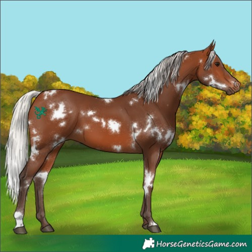 Horse Color:White Spotted Silver Brown 