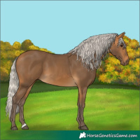 Horse Color:Silver Buckskin