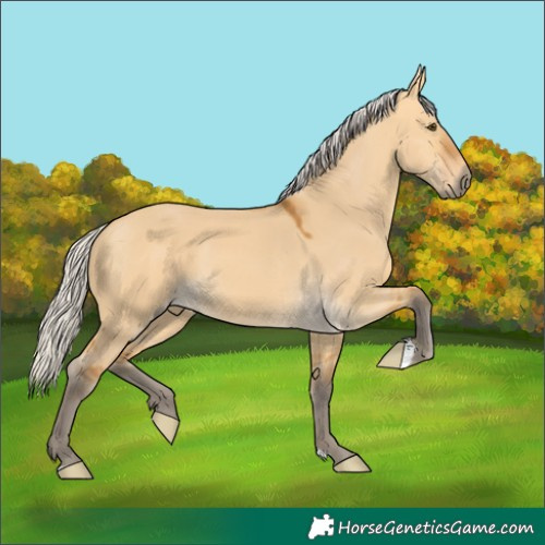 Horse Color:Silver Buckskin Dun