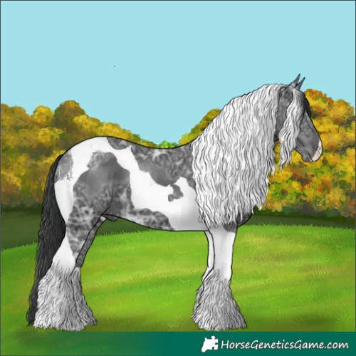 Horse Color:Black Ice Tobiano 