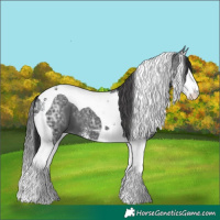 Horse Color:Black Ice Sabino Splash Tobiano 