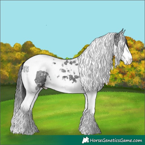 Horse Color:Black Ice Splash Tobiano 