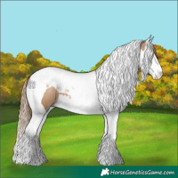 Horse Color:Black Pearl Splash Tobiano