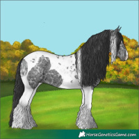 Horse Color:Black Ice Tobiano 