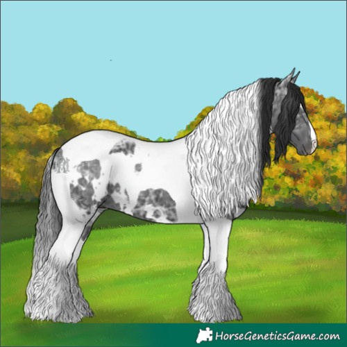 Horse Color:White Spotted Black Ice Tobiano 