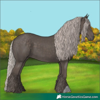 Horse Color:Silver Black