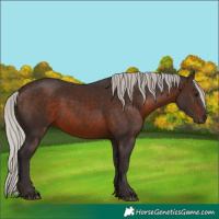 Horse Color:Silver Brown