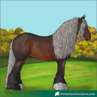 Horse Color:Silver Brown Rabicano 