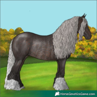 Horse Color:Silver Brown Rabicano