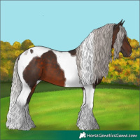 Horse Color:Silver Brown Tobiano