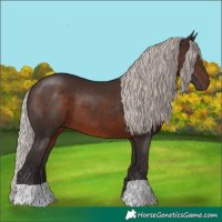Horse Color:Silver Brown 
