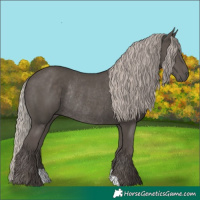 Horse Color:Silver Black Rabicano