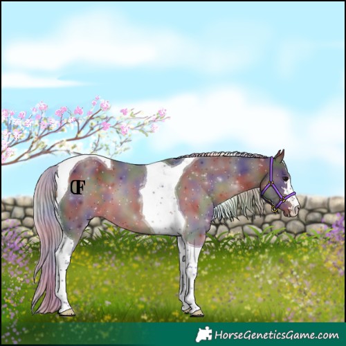 Horse Color:Nacre Silver Brown Tobiano