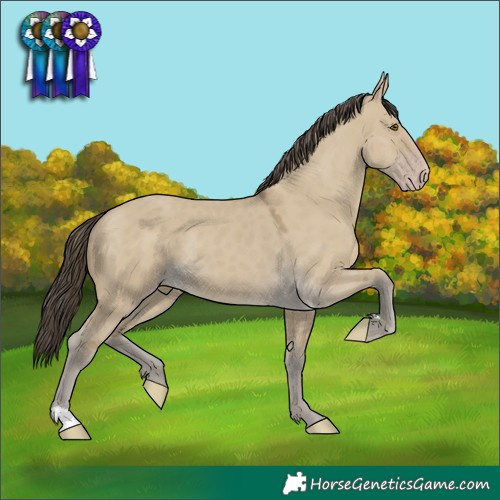 Horse Color:Classic Cream Champagne Dun 