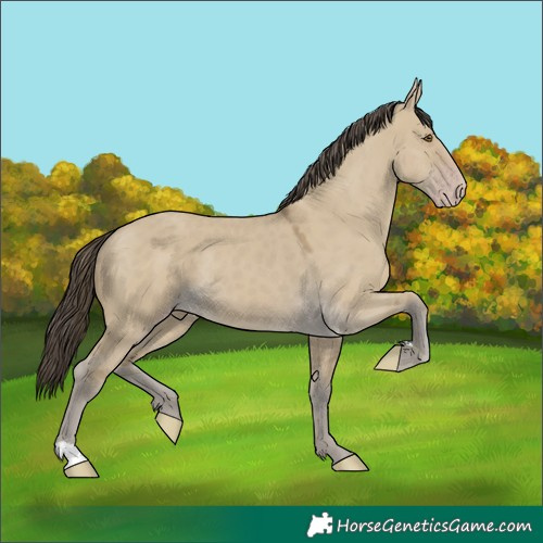 Horse Color:Classic Cream Champagne Dun 