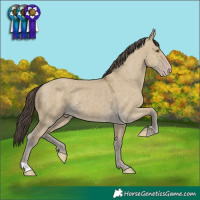 Horse Color:Classic Cream Champagne Dun