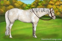 Horse Color:White Spotted Silver Smoky Grullo Pearl 