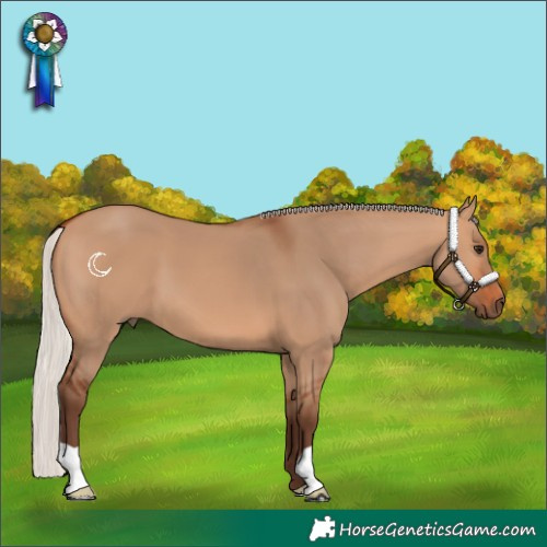 Horse Color:Silver Bay Dun