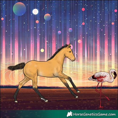 Horse Color:Buckskin 