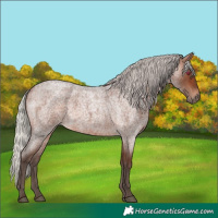 Horse Color:Silver Brown Roan 