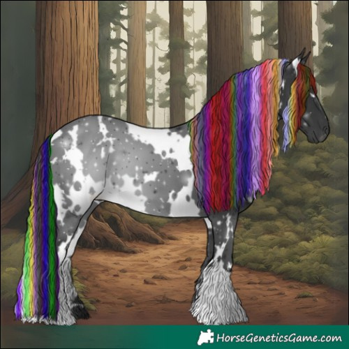 Horse Color:Unknown 