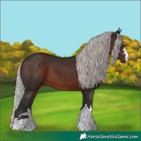 Horse Color:Silver Brown