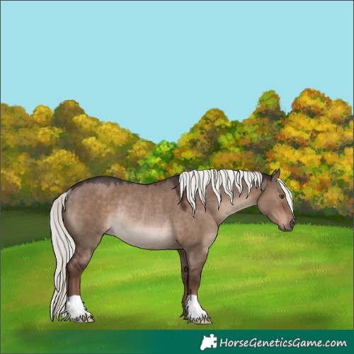 Horse Color:Liver Red Dun Mushroom Rabicano 