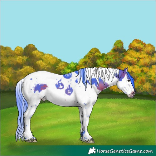 Horse Color:Watercolor Brown Splash Tobiano