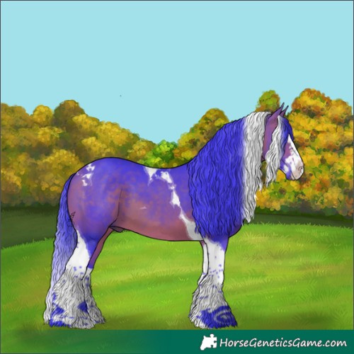 Horse Color:Watercolor Bay Splash Tobiano
