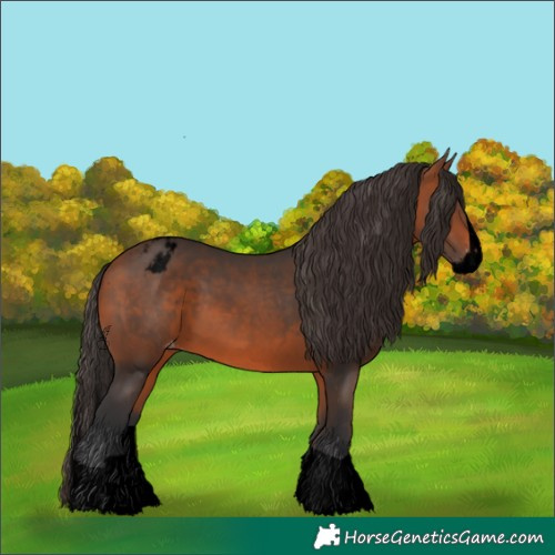Horse Color:Void Bay Splash Varnish