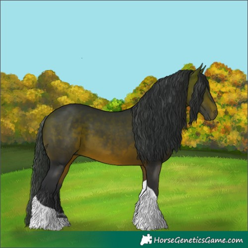 Horse Color:Bay Mushroom Tobiano