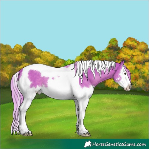 Horse Color:Watercolor Liver Chestnut Splash Tobiano