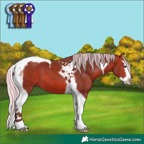 Horse Color:Silver Bay Splash Tobiano