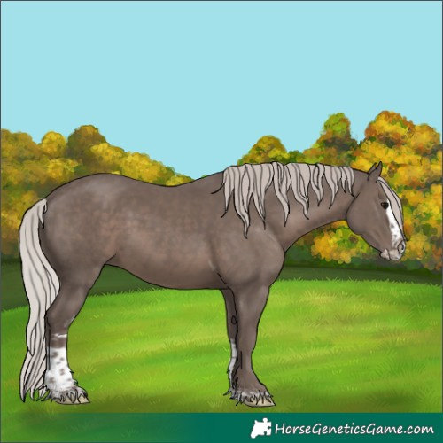 Horse Color:Silver Black Splash Tobiano