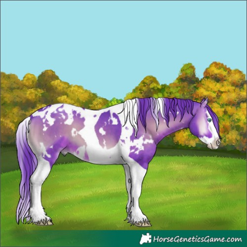 Horse Color:Watercolor White Spotted Brown Onyx Splash Tobiano