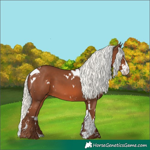 Horse Color:White Spotted Chestnut Mushroom Splash Tobiano