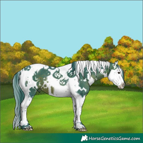 Horse Color:Watercolor White Spotted Brown Splash Tobiano 