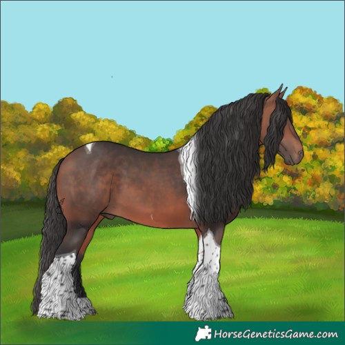 Horse Color:Bay Tobiano