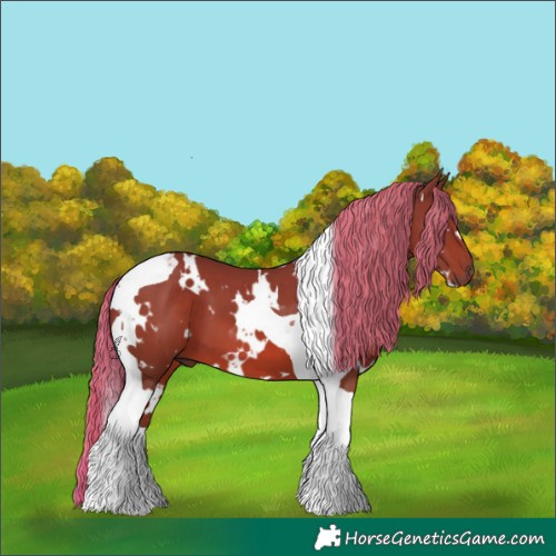 Horse Color:White Spotted Chestnut Tobiano 