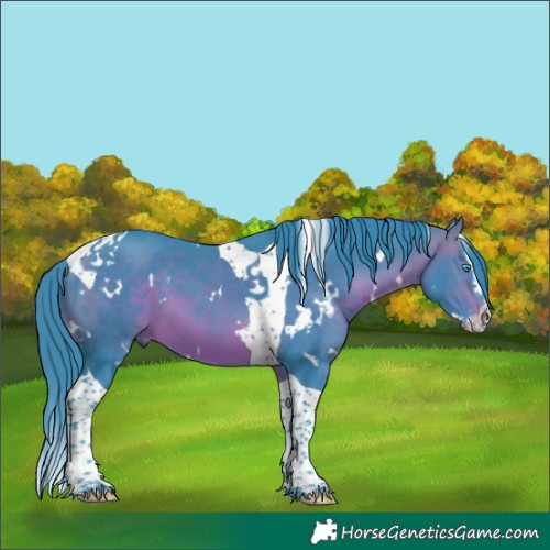 Horse Color:Watercolor White Spotted Brown Splash Tobiano