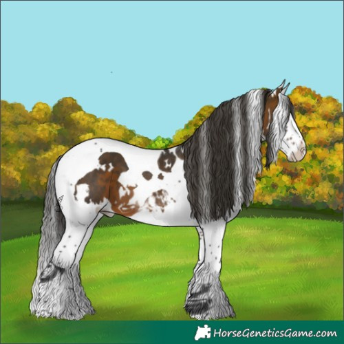 Horse Color:White Spotted Brown Splash Tobiano