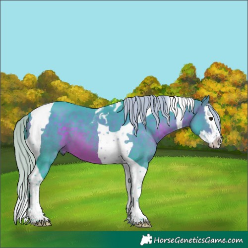 Horse Color:Watercolor Silver Brown Splash Tobiano 