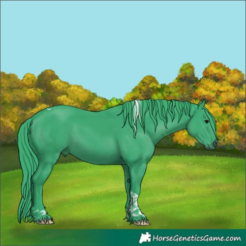 Horse Color:Watercolor Black Tobiano 