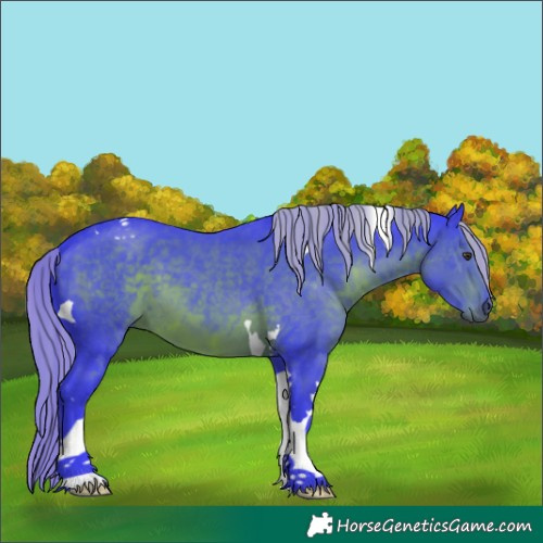 Horse Color:Watercolor Liver Chestnut Tobiano