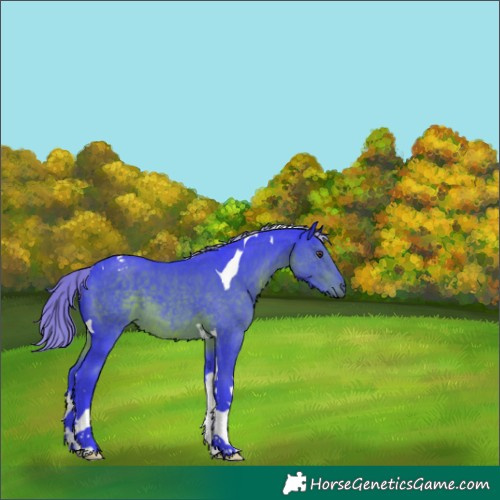 Horse Color:Watercolor Liver Chestnut Tobiano 